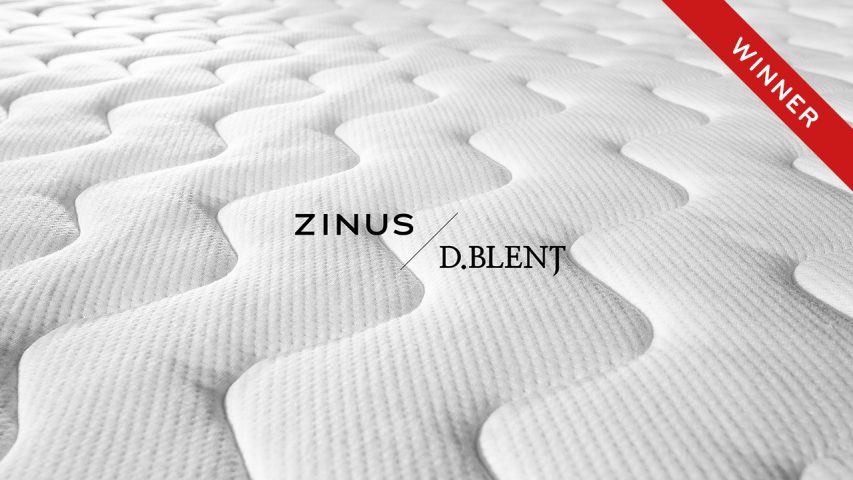 Zinus Zinus